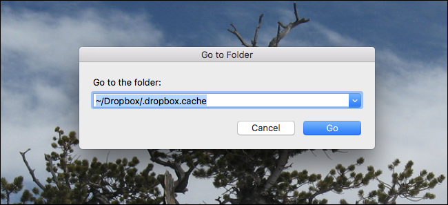 Comment vider votre cache Dropbox sous Windows, macOS et Linux 10 Comment vider votre cache Dropbox sous Windows, macOS et Linux 3