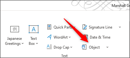 Comment insérer un PDF dans Microsoft Word 7 Comment insérer un PDF dans Microsoft Word 3
