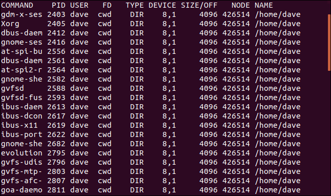 Comment utiliser la commande Linux lsof 14 Comment utiliser la commande Linux lsof 10