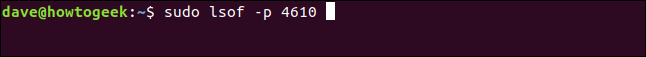 Comment utiliser la commande Linux lsof 21 Comment utiliser la commande Linux lsof 17