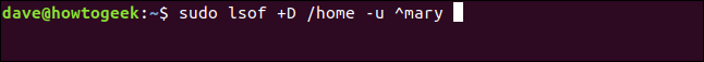 Comment utiliser la commande Linux lsof 19 Comment utiliser la commande Linux lsof 15