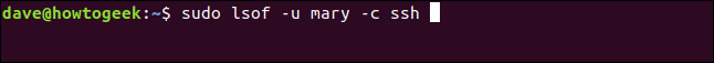 Comment utiliser la commande Linux lsof 25 Comment utiliser la commande Linux lsof 21