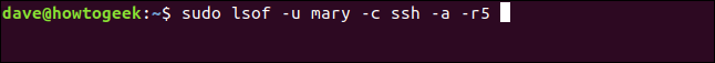 Comment utiliser la commande Linux lsof 29 Comment utiliser la commande Linux lsof 25