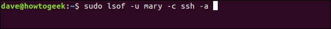 Comment utiliser la commande Linux lsof 27 Comment utiliser la commande Linux lsof 23