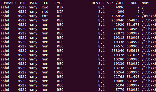 Comment utiliser la commande Linux lsof 28 Comment utiliser la commande Linux lsof 24