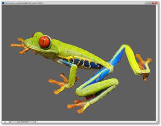 Apprendre Photoshop, Part 4: Basic Menus 17 Apprendre Photoshop, Part 4: Basic Menus 13