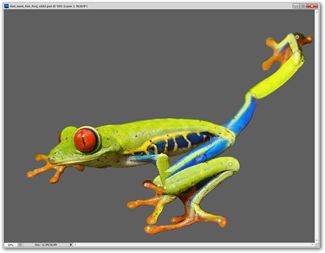 Apprendre Photoshop, Part 4: Basic Menus 18 Apprendre Photoshop, Part 4: Basic Menus 14