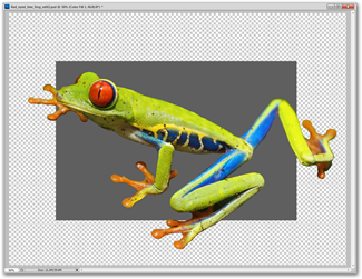 Apprendre Photoshop, Part 4: Basic Menus 28 Apprendre Photoshop, Part 4: Basic Menus 24