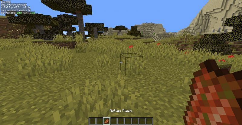 Top 5 des utilisations de Rotten Flesh dans Minecraft 6 Image via Minecraft