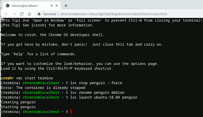 Chromeos Termina lance Ubuntu Chromeos Termina lance Ubuntu