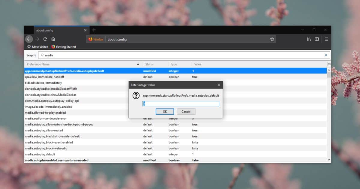 Comment modifier une valeur de préférence Firefox 6 Comment modifier une valeur de préférence Firefox 2