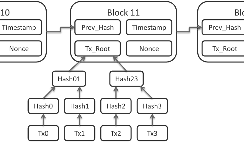 Qu'est-ce que le réseau Lightning de Bitcoin? 6 Données de bloc Lightning Network