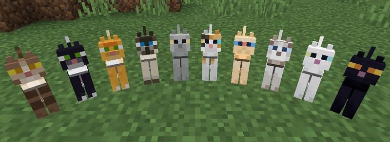 Que mangent les ocelots dans Minecraft ? 7 (via Minecraft Wiki)