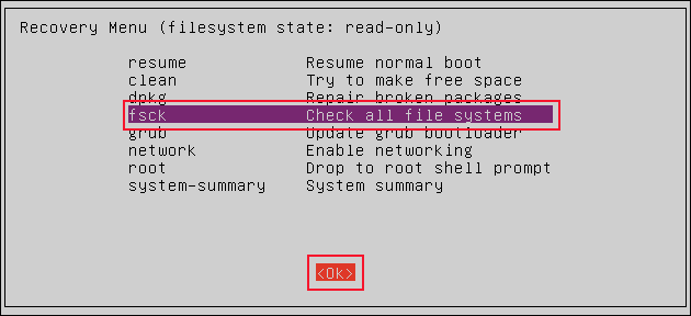 Comment utiliser la commande fsck sous Linux 22 Menu de récupération avec fsck sélectionné