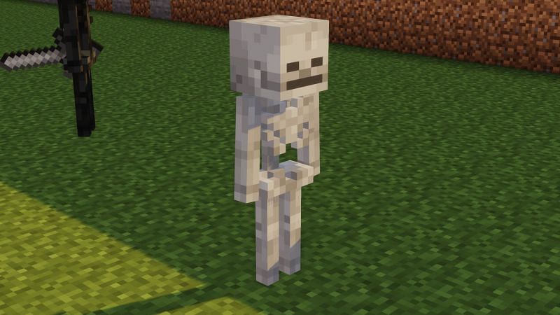 Top 5 des mobs que les débutants devraient éviter dans Minecraft 9 Squelette Mob (Image via Minecraft)